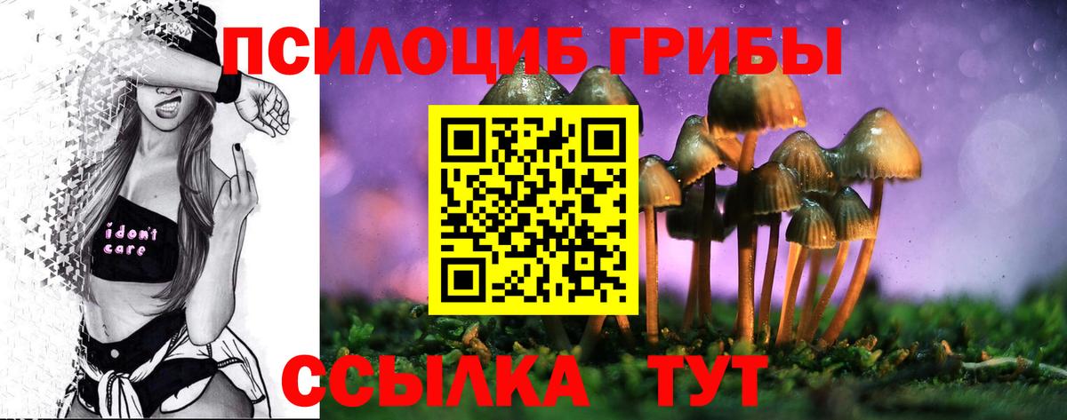 Когалым  Галлюциногенные грибы мухоморы  Вход с VPN 